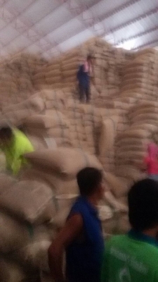 ขายกระสอบป่าน ขนาด 100 กิโลกรัม มีไม่ต่ำกว่า 5 ล้านใบ ราคาใบละ 5 บาท