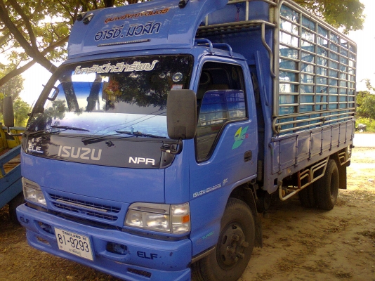 ขายรถบ้าน6ล้อ ISUZU NPR 4.3 ออกห้างเฮียบหงวนมือเดียว ช่วงล่างแน่น แซสซีแจ่มไร้ที่ติ เฟืองท้ายF เครื่องดี เอกสารครบพร้อมใช้พร้อมโอน