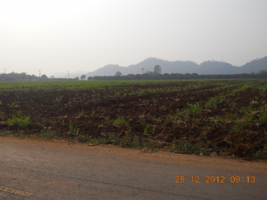 ขายที่ดินเขาใหญ่สวยๆ 55 ไร่ๆละเพียง 1700000บาท