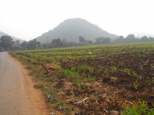 ขายที่ดินเขาใหญ่สวยๆ 55 ไร่ๆละเพียง 1700000บาท