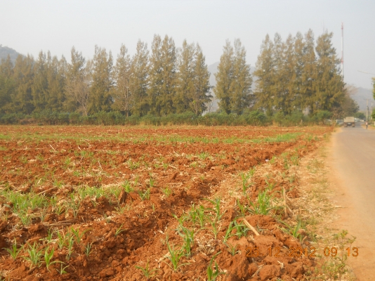 ขายที่ดินเขาใหญ่สวยๆ 55 ไร่ๆละเพียง 1700000บาท