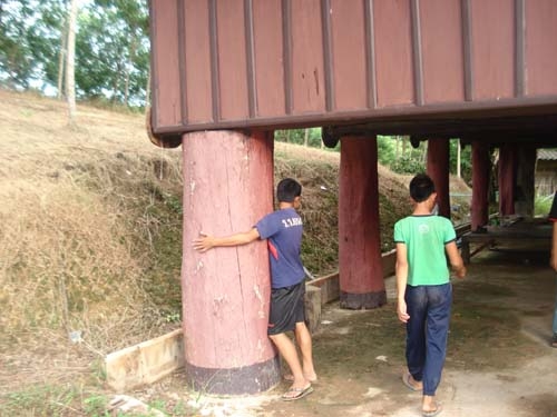 ขายสวนยาง พารา พร้อมบ้านไม้หลังใหญ่