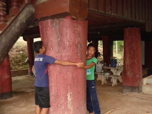 ขายสวนยาง พารา พร้อมบ้านไม้หลังใหญ่