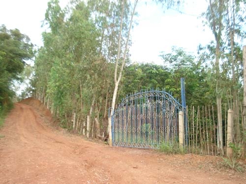 ขายสวนยาง พารา พร้อมบ้านไม้หลังใหญ่