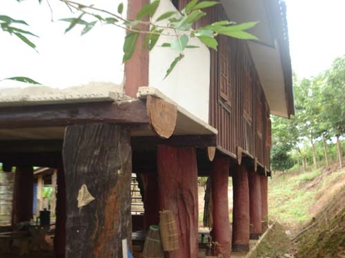 ขายสวนยาง พารา พร้อมบ้านไม้หลังใหญ่