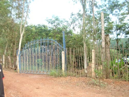 ขายสวนยาง พารา พร้อมบ้านไม้หลังใหญ่