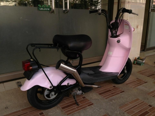 .......Suzuki Choi Nori ......... .......Suzuki Choi Nori .........