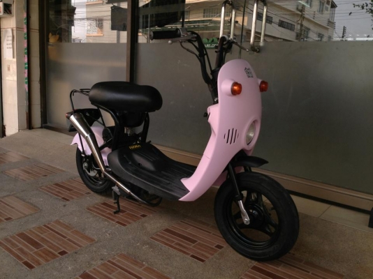 .......Suzuki  Choi Nori .........