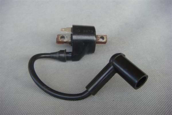 ขายคอยส์คาจิว่า