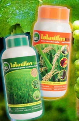 ผลิตภัณฑ์ทางการเกษตร ผลิตภัณฑ์ทางการเกษตร