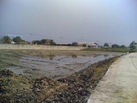 ที่ดินเปล่า