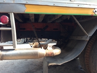 ขายNPR 120 รถห้างเกียร์สั้นกระบะคาโก้ข้างปิเนียม