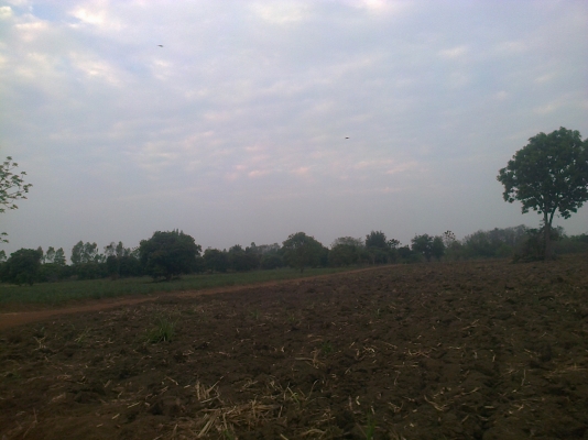 ขายที่ดินในจังหวัดสระแก้ว อ.คลองหาด ขายที่ดินในจังหวัดสระแก้ว อ.คลองหาด