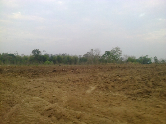 ขายที่ดินในจังหวัดสระแก้ว อ.คลองหาด ขายที่ดินในจังหวัดสระแก้ว อ.คลองหาด