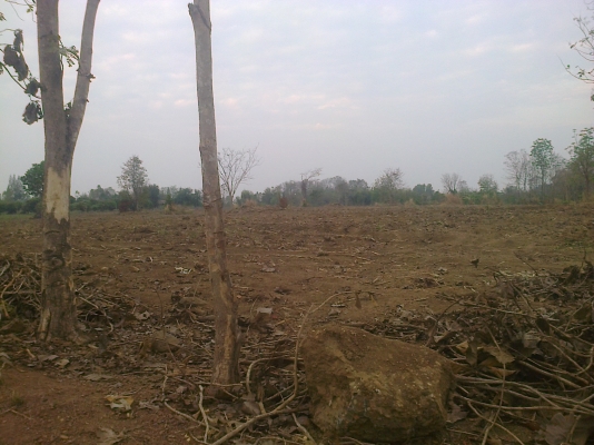 ขายที่ดินในจังหวัดสระแก้ว อ.คลองหาด ขายที่ดินในจังหวัดสระแก้ว อ.คลองหาด