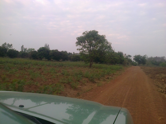ขายที่ดินในจังหวัดสระแก้ว อ.คลองหาด ขายที่ดินในจังหวัดสระแก้ว อ.คลองหาด