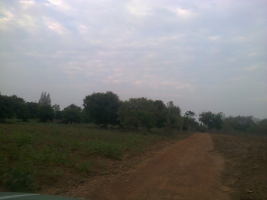 ขายที่ดินในจังหวัดสระแก้ว อ.คลองหาด