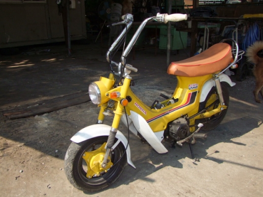 ขายชาลี สีเหลือง เครื่องแน่น(แฝง)ไฟติดทุกดวง