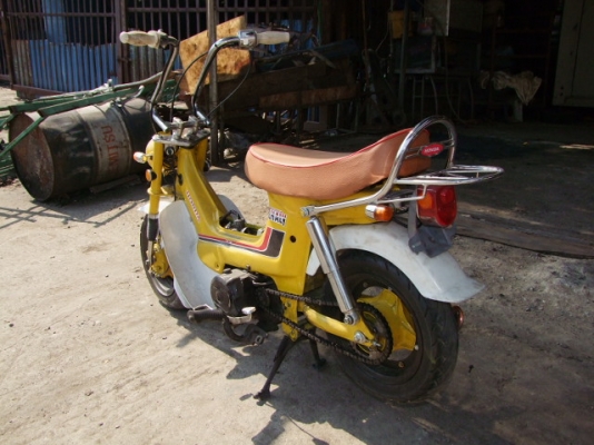 ขายชาลี สีเหลือง เครื่องแน่น(แฝง)ไฟติดทุกดวง