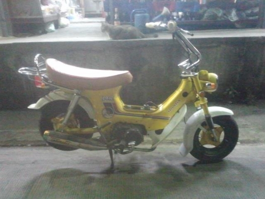 ขายชาลี สีเหลือง เครื่องแน่น(แฝง)ไฟติดทุกดวง