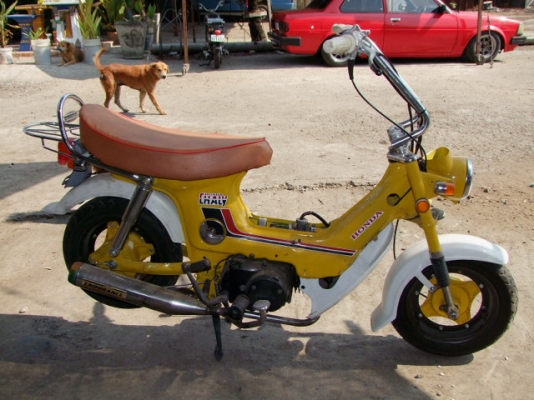 ขายชาลี สีเหลือง เครื่องแน่น(แฝง)ไฟติดทุกดวง