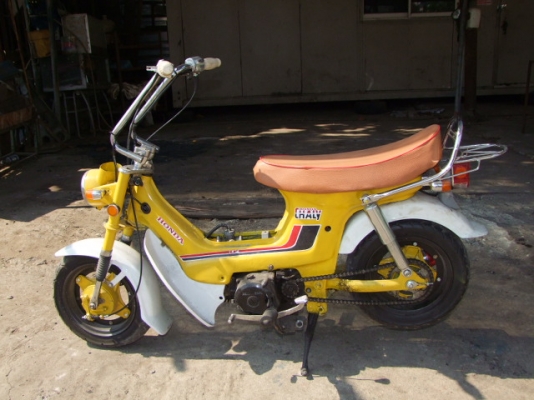 ขายชาลี สีเหลือง เครื่องแน่น(แฝง)ไฟติดทุกดวง