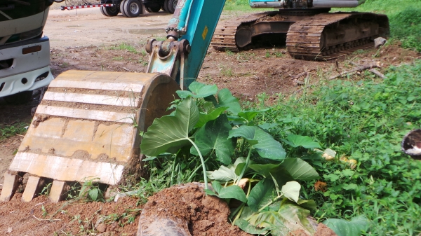 KOBELCO  YN09  มีเล่มทะเบียนพร้อมค่ะ