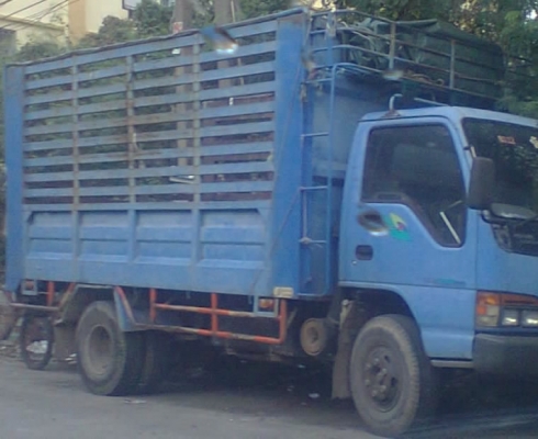 ฝากขาย 6 ล้อดั้มคอกเกษตร ISUZU NQR 150 แรง uro 2