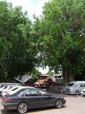 ขาย ล้อแม๊ก 15"  4/114  1 คู่   700 บาท  (แก้ไข 9-3-56)