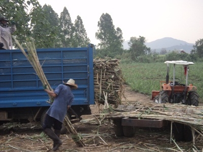 L20แรงสามสูบยางดีระบบหางดีมากครับเครื่องดีมากมีพวงมาลัยเพลาเวอร์