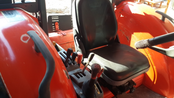 ขายผานตราช้าง สวยใบเต็ม 6x 24 25500-