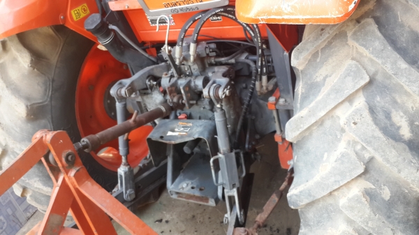 ขายผานตราช้าง สวยใบเต็ม 6x 24 25500-