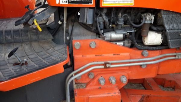 ขายผานตราช้าง สวยใบเต็ม 6x 24 25500-