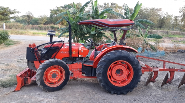 ขายผานตราช้าง สวยใบเต็ม 6x 24 25500-