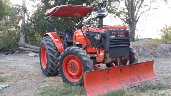 ขายผานตราช้าง สวยใบเต็ม 6x 24 25500-