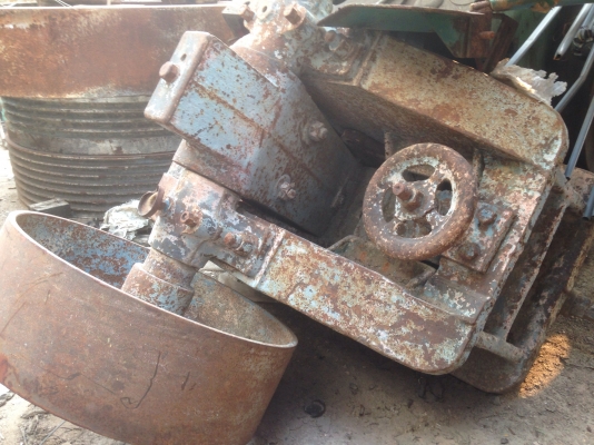 ขายปากโม่หิน ตัวเล็ก