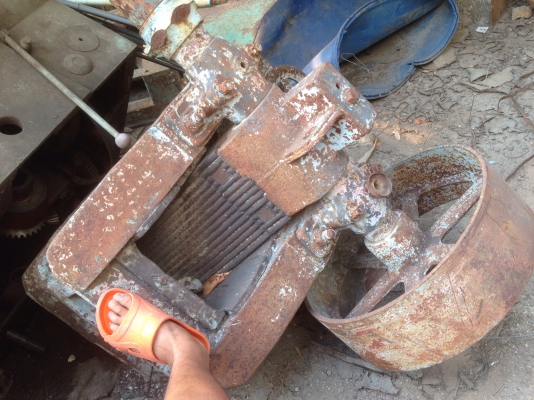 ขายปากโม่หิน ตัวเล็ก