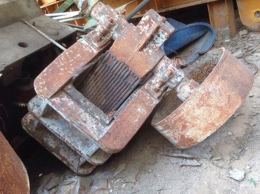 ขายปากโม่หิน ตัวเล็ก