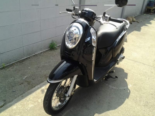 ขาย HONDA SCOOPY I ปี57 รถ 10 เดือน สภาพสวย เครื่องดี เล่มทะเบียนพร้อมโอนครับ ขาย HONDA SCOOPY I ปี57 รถ 10 เดือน สภาพสวย เครื่องดี เล่มทะเบียนพร้อมโอนครับ