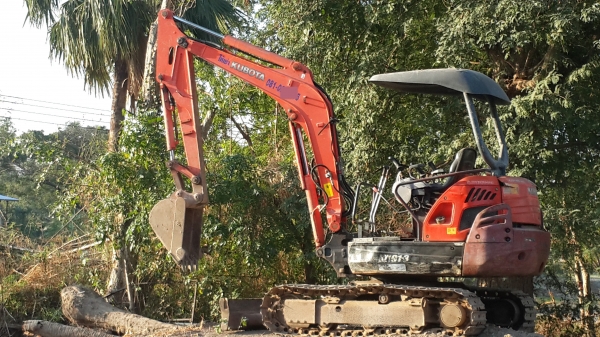 ขายโล ตราช้าง  163    25500