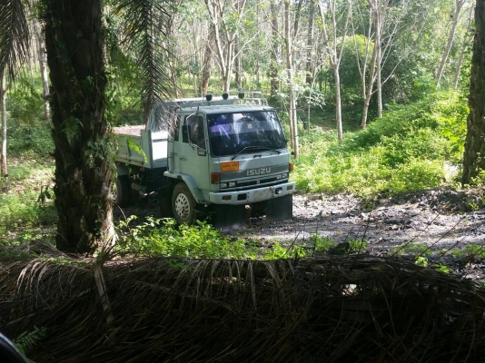 หกล้อดั้ม&hellip;2คัน&hellip;อีซูซุ 195~165แรง สภาพดีสวยๆทั้ง2คัน ราคาถูกๆเลย คันละ435,000 &hellip;ไม่มีทะเบียน&hellip;มีแต่ใบสัณญ่าซื้อขายกับเจ้าของรถเลย ครับ