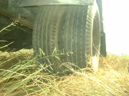 หัวแชสชี  115   มี 2 ค้ัน ( รถประมูลการบิน )  ราคา  315,000 บาท