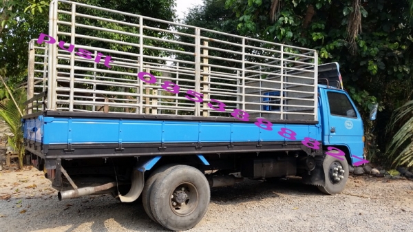 ขายุ6ล้อ npr115กระบะคอกแป๊บ  ช่วงล่างใหญ่ สวยๆแอร์เย็นพร้อมใช้งาน