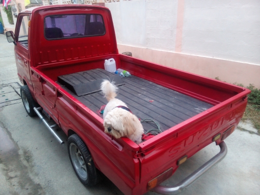 ขายกะป๊อ2คันราคาถูก ขายกะป๊อ2คันราคาถูก