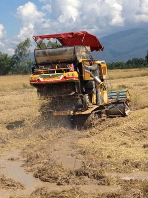 ขายรถเกี่ยวนวดข้าว
