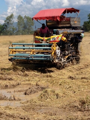 ขายรถเกี่ยวนวดข้าว