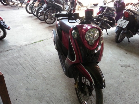 ฟีโน่เกแยก