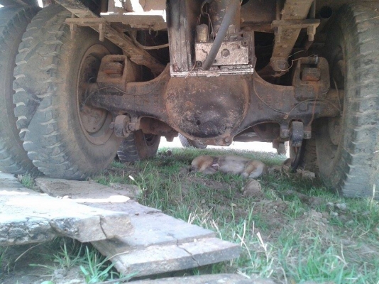 ขาย10ล้อ2เพลา HINO KT725 เครื่องEH700 168แรง มีบันไดไฮดรอริกขึ้นรถเกี่ยว เครื่องดี คัชซีสวย ยางดี สภาพพร้อมใช้งาน เอกสารพร้อมโอน จัดไฟแนนซ์ได้ เงื่อนไขง่ายๆวันเดียวรับรถ สนใจโทร 090-8588220คุณนะ ID:narong498 หรือ www.truck.in.th/498 หรือfb:ณรงค์ ซื้อขายร ขาย10ล้อ2เพลา HINO KT725 เครื่องEH700 168แรง มีบันไดไฮดรอริกขึ้นรถเกี่ยว เครื่องดี คัชซีสวย ยางดี สภาพพร้อมใช้งาน เอกสารพร้อมโอน จัดไฟแนนซ์ได้ เงื่อนไขง่ายๆวันเดียวรับรถ สนใจโทร 090-8588220คุณนะ ID:narong498 หรือ www.truck.in.th/498 หรือfb:ณรงค์ ซื้อขายร