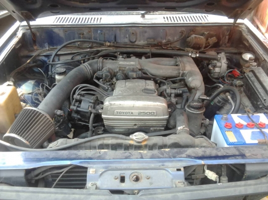 มิตซู เฉินหลง