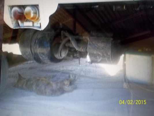 ขาย ตามสภาพ เอกสารพร้อมโอน